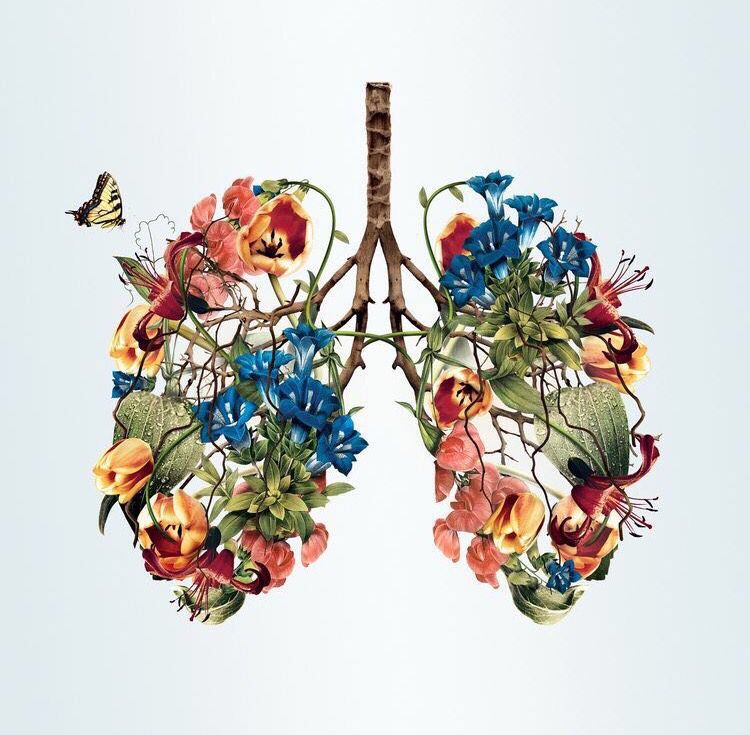 Breath of Life