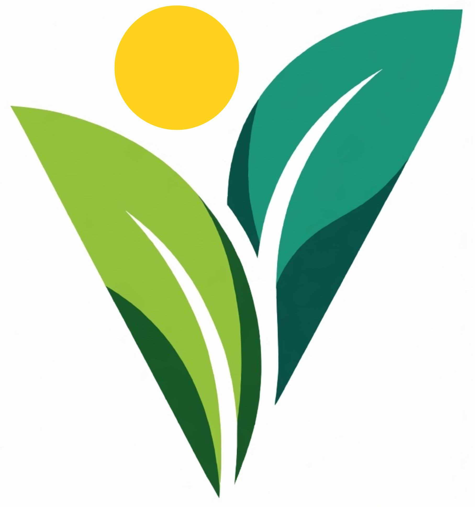 Vivo Wellness